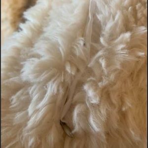 Oversized 26x26 ugg  pillows - ivory $65 for the pair